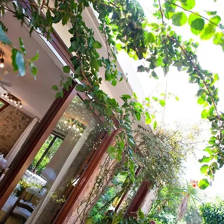 Hotel Danila